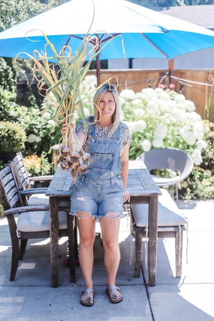 Woman holding fresh organic garlic picked from her garden
