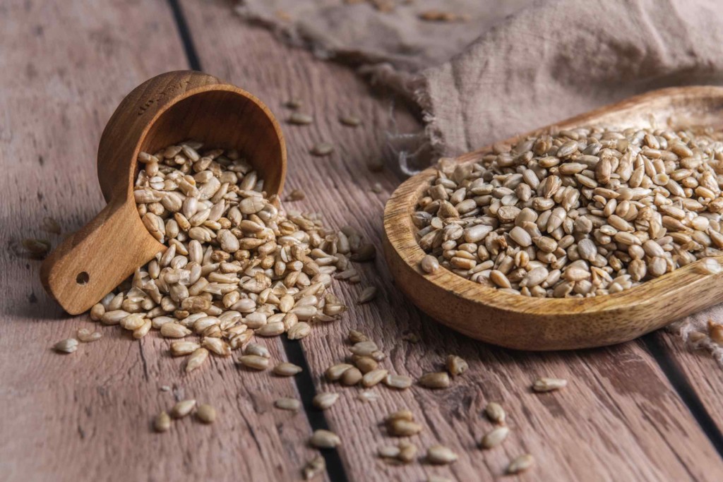 This images shows the sprouted sunflower seeds