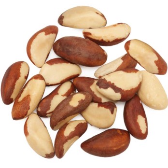 Image shows a circle of sprouted Brazil nuts partially skinned on a white background