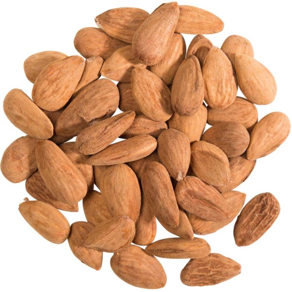 Image shows a circle of organic sprouted almonds on a white background