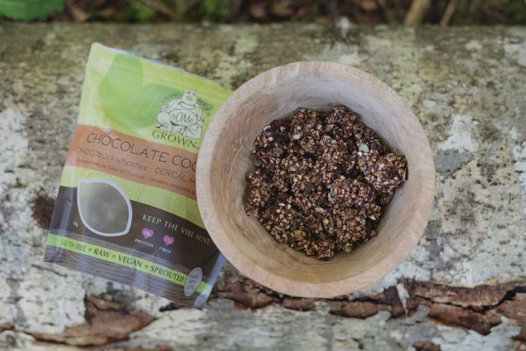 The Sprouted Buckwheat Groat What it is & Why we Love it hOMe Grown