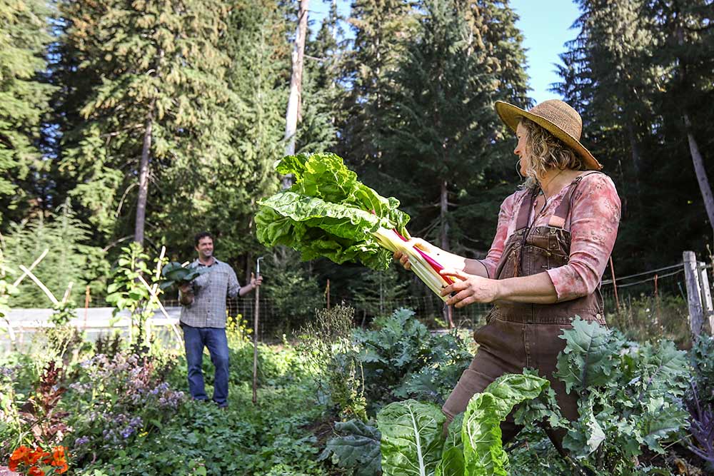 Home Grown Living Foods Farm