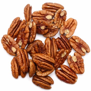 Image shows a circle of organic sprouted raw pecans on a white background
