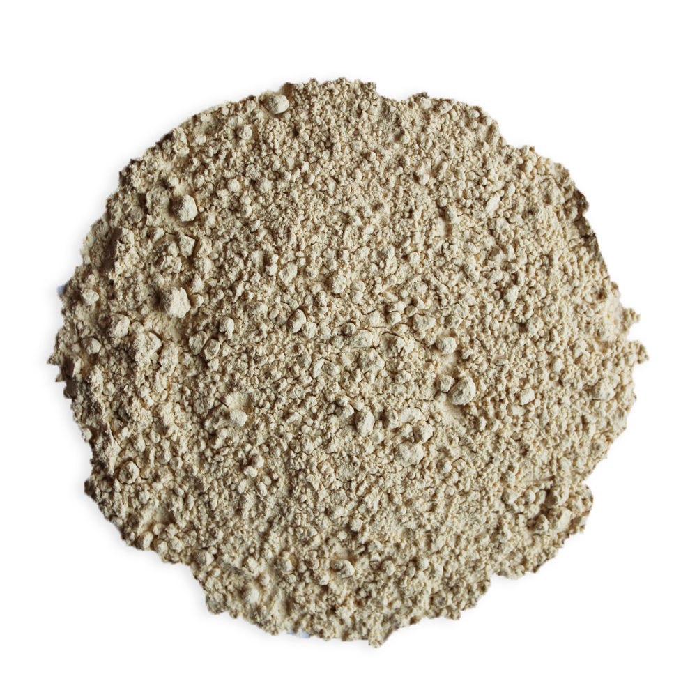 Organic garlic powder packaged product by Homegrown Living Foods